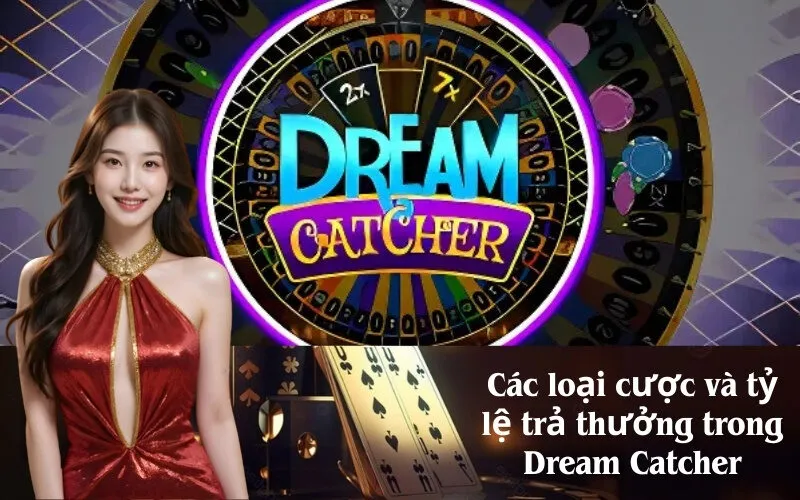 Các loại cược và tỷ lệ trả thưởng trong Dream Catcher