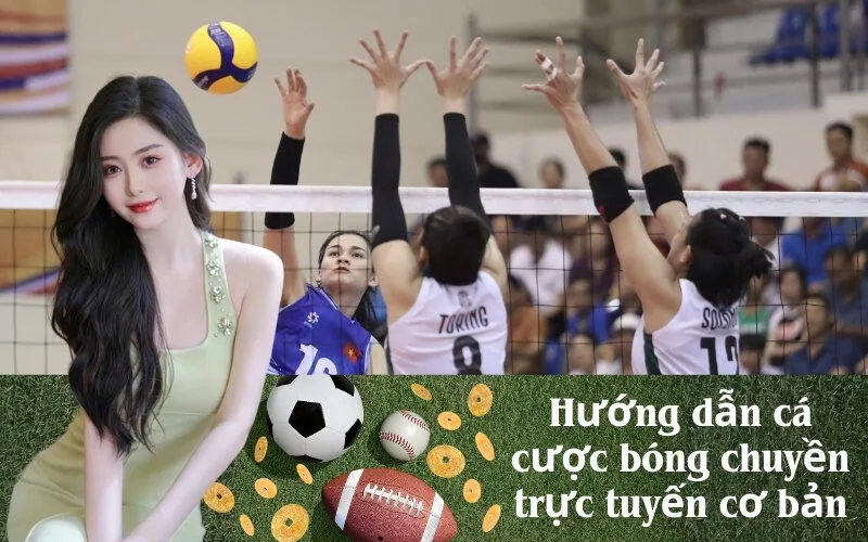 Hướng dẫn cá cược bóng chuyền trực tuyến cơ bản