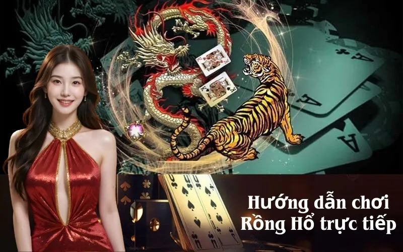 Hướng dẫn chơi Rồng Hổ trực tiếp