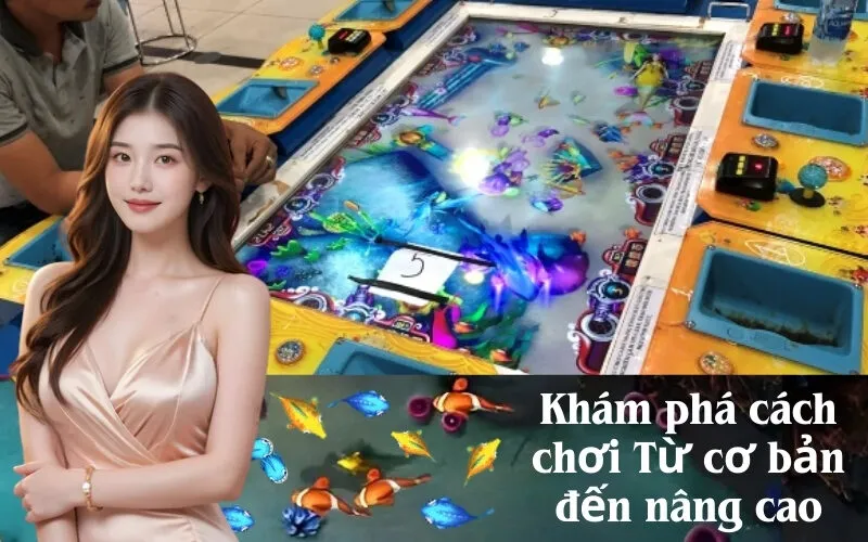 Khám phá cách chơi Từ cơ bản đến nâng cao