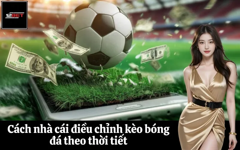 Cách nhà cái điều chỉnh kèo bóng đá theo thời tiết