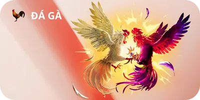 đá gà 12Bet